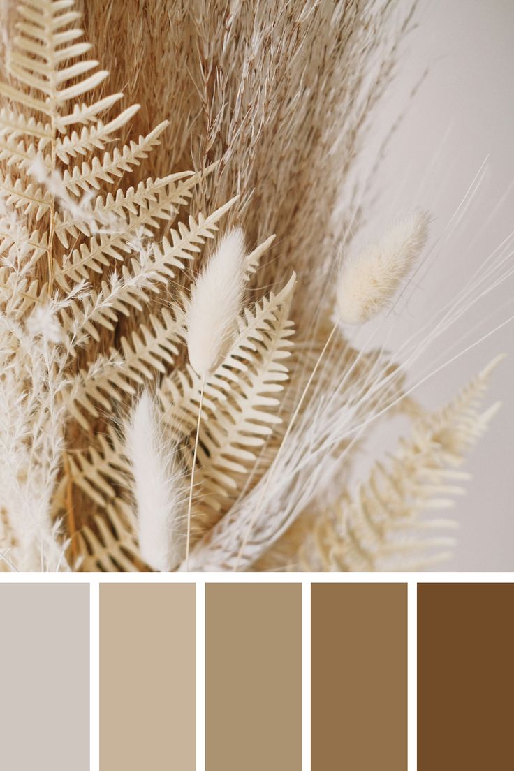 the color scheme is neutral and brown, with some white feathers on top of it