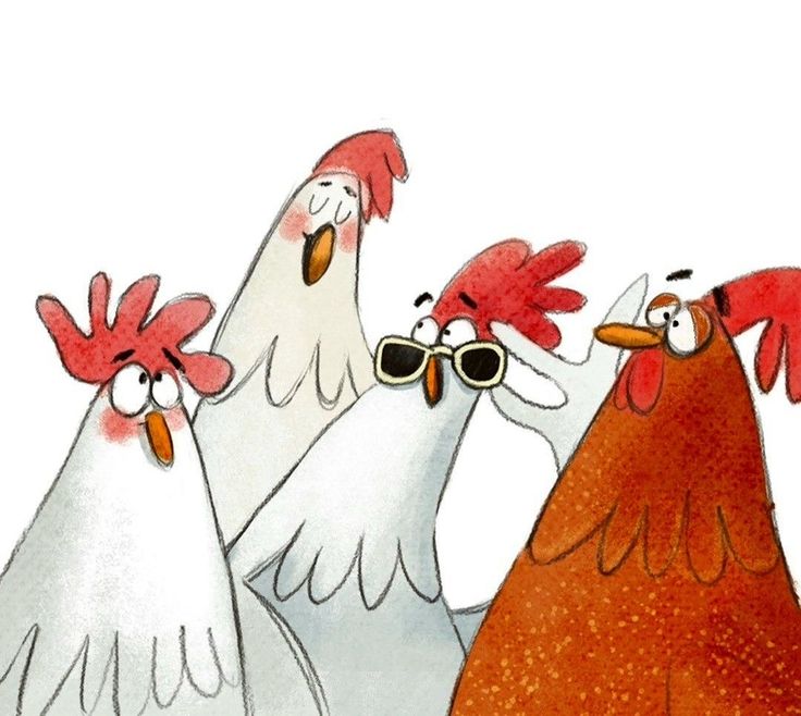 four chickens wearing sunglasses are standing together