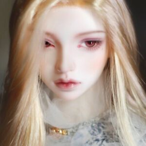 1/3 BJD Doll Pretty Girl Nude Bare Resin Ball Joint Female Doll Eyes Face Makeup | eBay Blonde Brown Eyes, Brown Eye Boys, Resin Ball, Bjd Doll Clothes, Body Makeup, Doll Eyes, Bjd Doll, Pretty Dolls, Doll Head