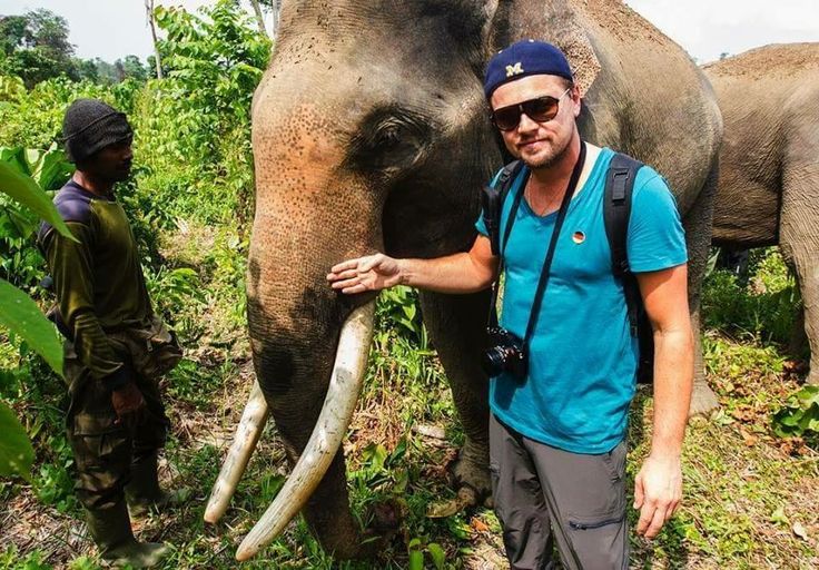 a man standing next to an elephant with tusks on it's trunk