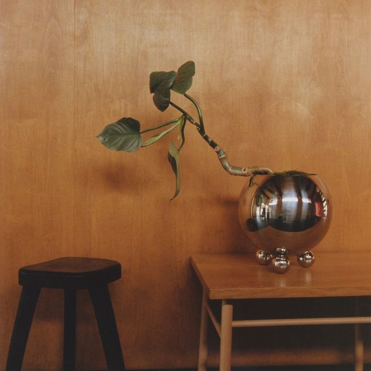 a potted plant sitting on top of a wooden table next to a small stool