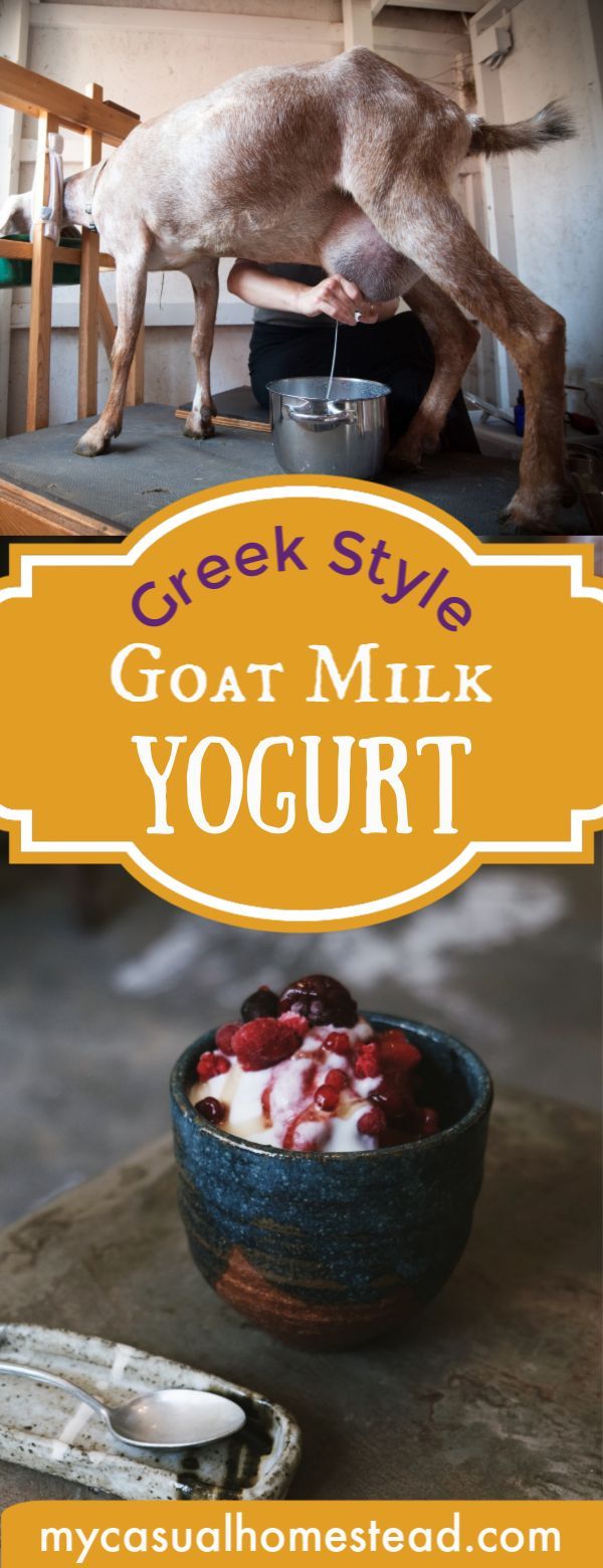 goat milk yogurt in a bowl with the words greek style goat milk yogurt