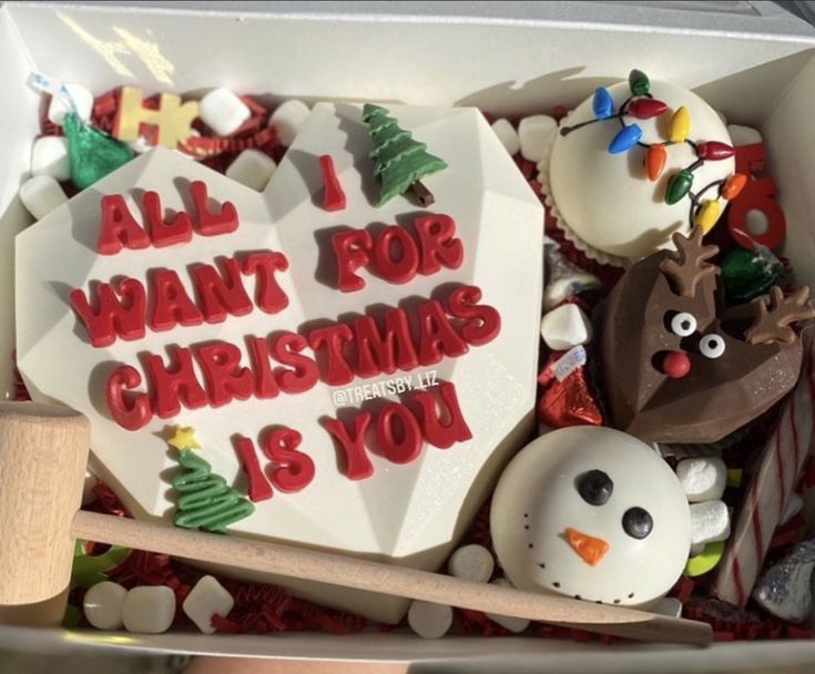 a box filled with lots of christmas decorations