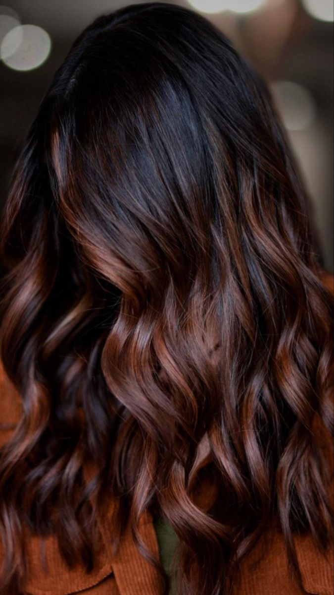 Color Hair For Black Hair, Call 2023 Hair, Dark Brunette Fall Balayage Hair, Chocolate Brown Hair With Mahogany Highlights, Naturally Curly Hair Short Styles, Brunette Balayage Hair Front View, Brown Colour On Black Hair, Ginger Bayalage On Dark Hair, Brown Hair Color Ideas For Fall