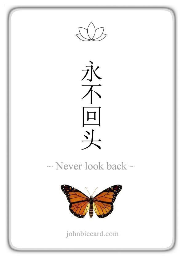 an orange butterfly sitting on top of a white card with the words never look back