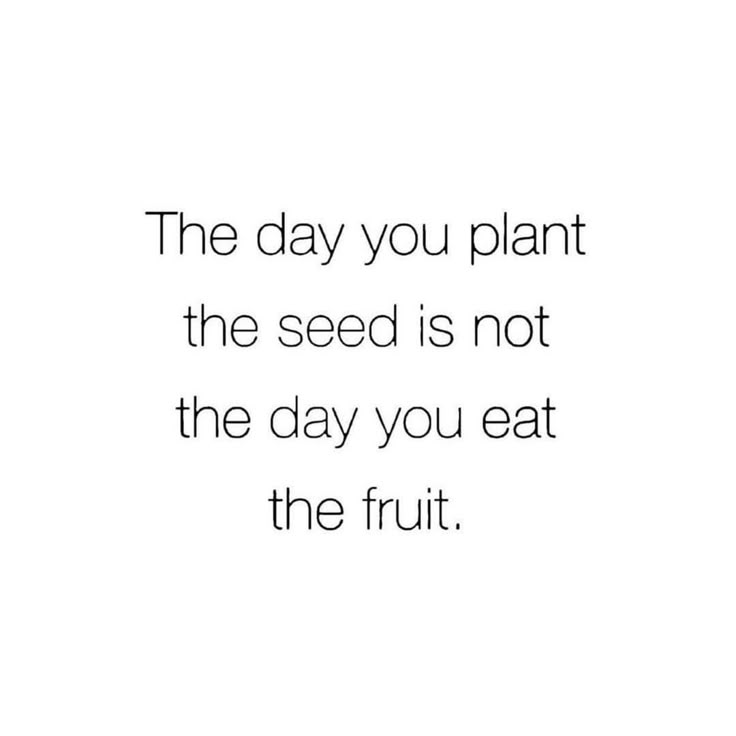 the day you plant the seed is not the day you eat the fruit