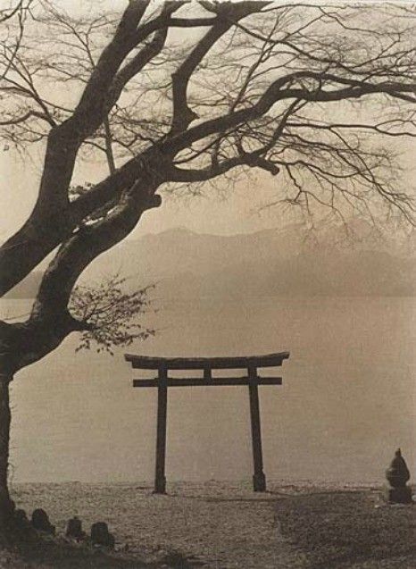 an old photo of a person sitting under a tree near the water with a large tori