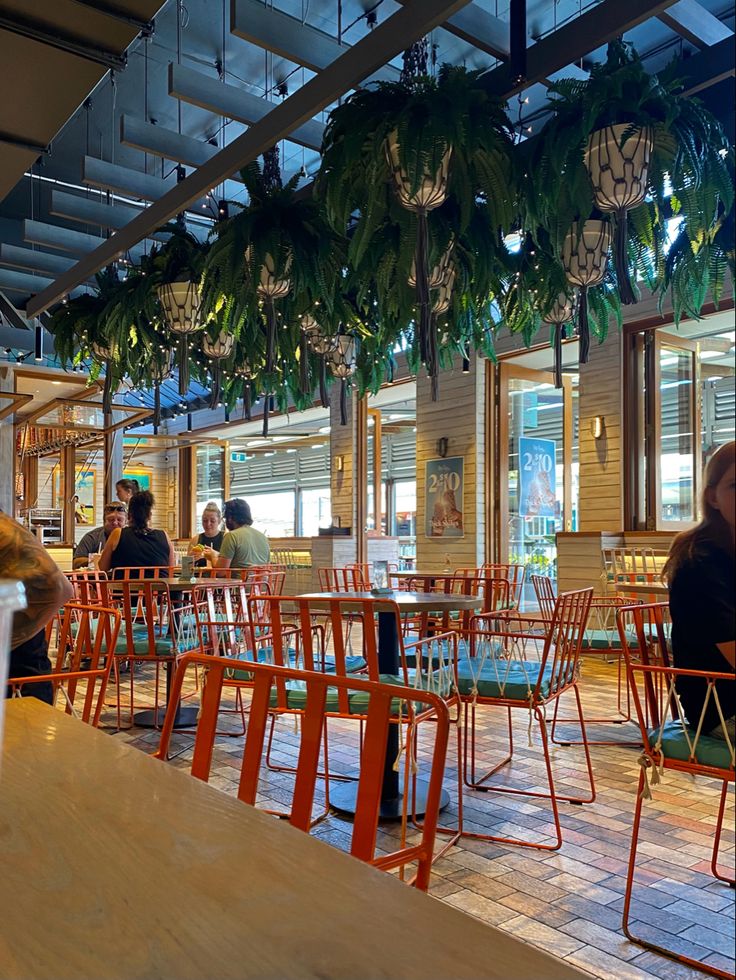 people sitting at tables in a restaurant with plants hanging from the ceiling and windows above them