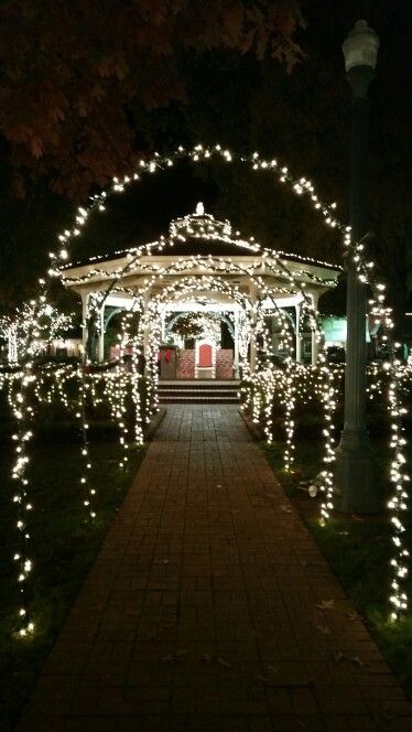 a gazebo covered in christmas lights at night