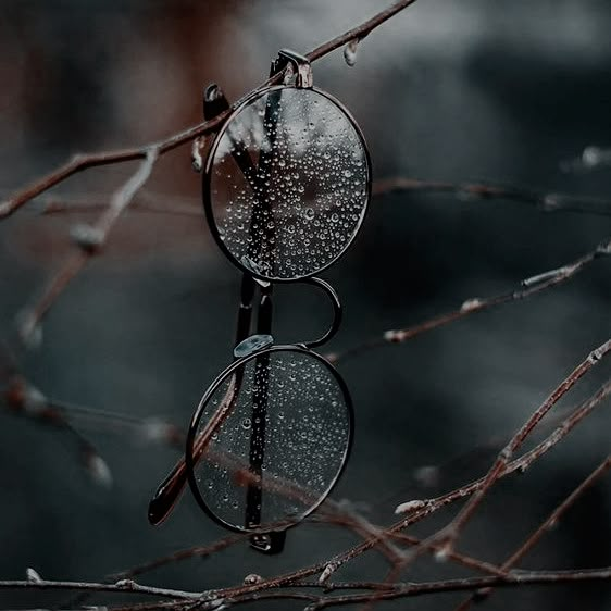 a pair of glasses sitting on top of a tree branch covered in water droplets and ice