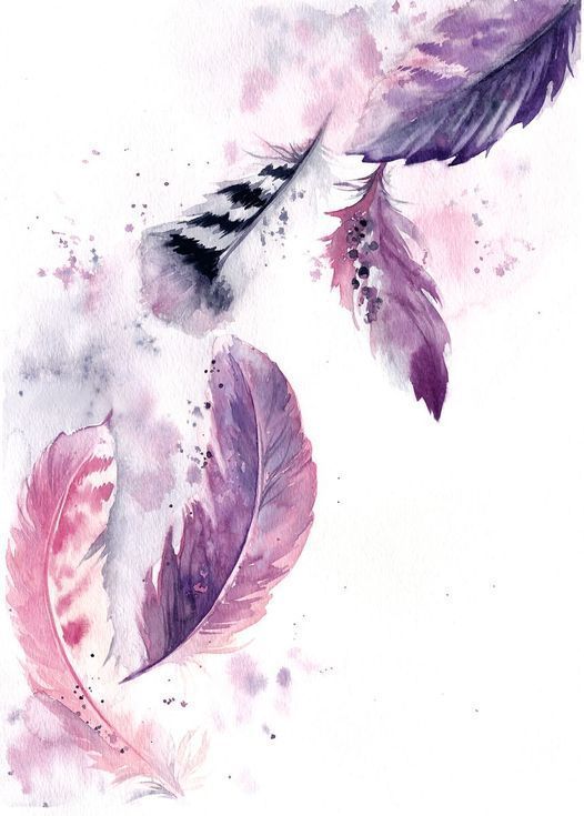 two feathers on a white background with watercolors and ink drawing style, one feather is black and the other has brown spots