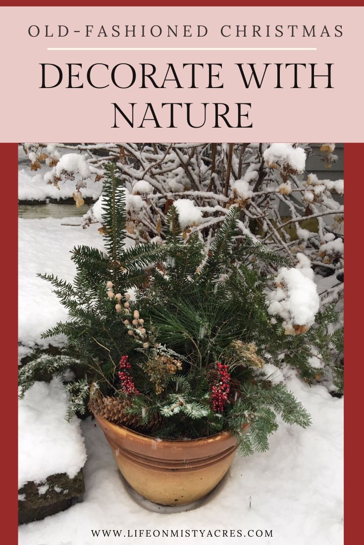 a potted plant in the snow with text overlay that reads, old - fashioned christmas