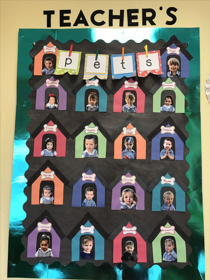 a bulletin board with pictures of children's pets on it and the words teacher's pets above them