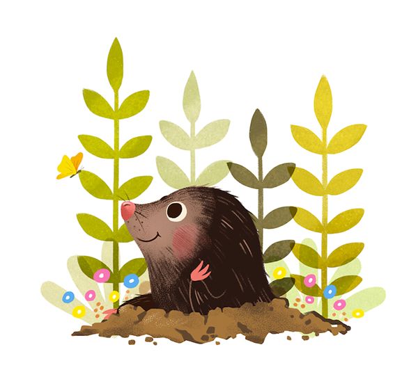 an animal that is sitting in the dirt near some plants and flowers on a white background