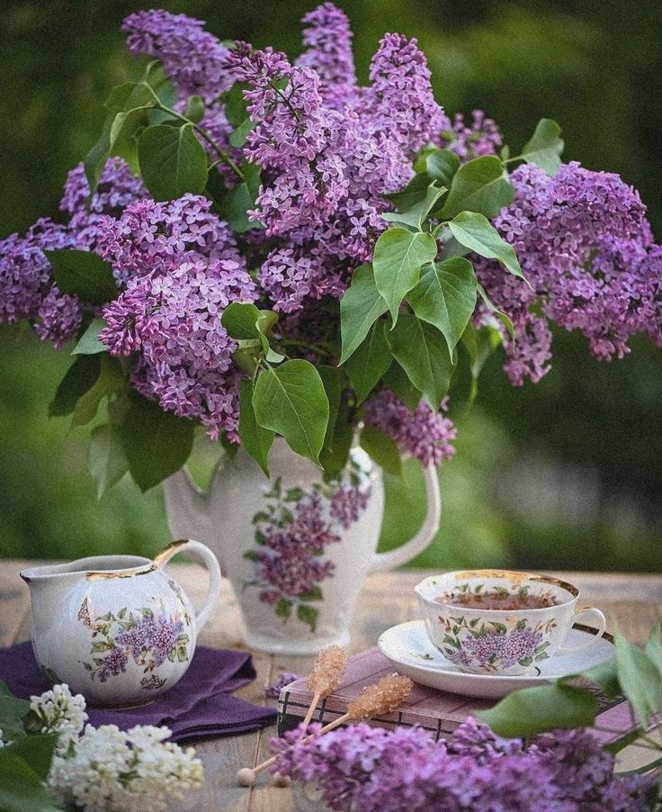 purple lilacs in a white pitcher and teacups on a wooden table outdoors