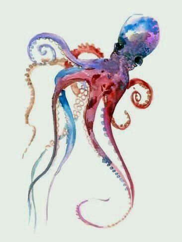 an octopus is painted in watercolor on white paper with blue and pink inks