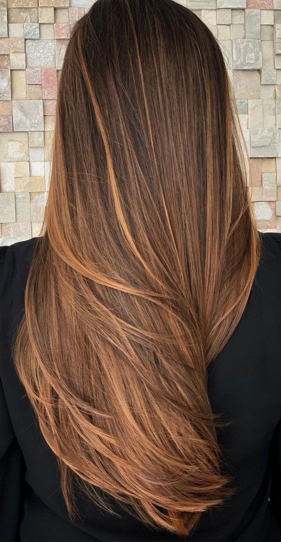 the back of a woman's head with long brown hair and caramel highlights