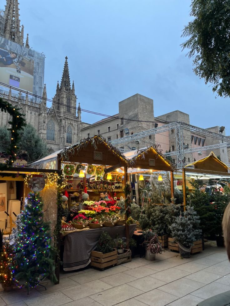 an outdoor market with christmas decorations and lights in front of a cathedral at night time