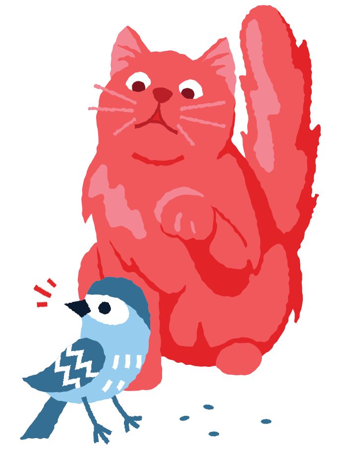 a red cat sitting next to a blue bird on top of a white ground with one paw in the air