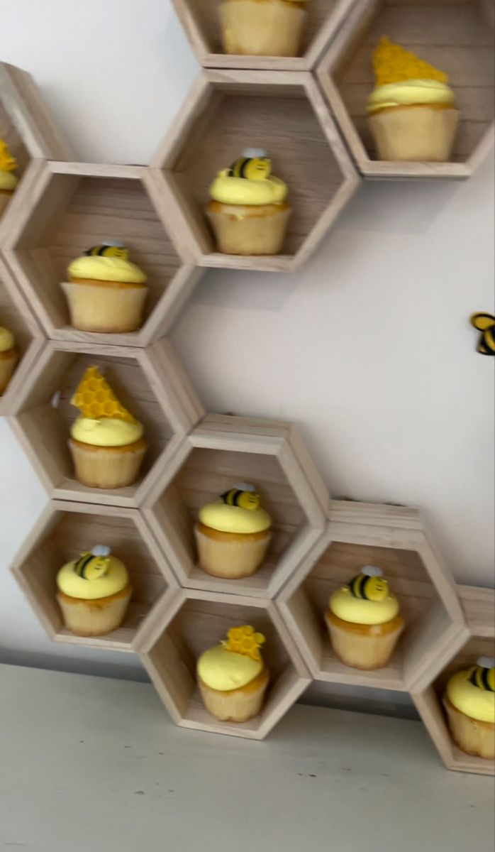 cupcakes are arranged in hexagonal trays on the wall