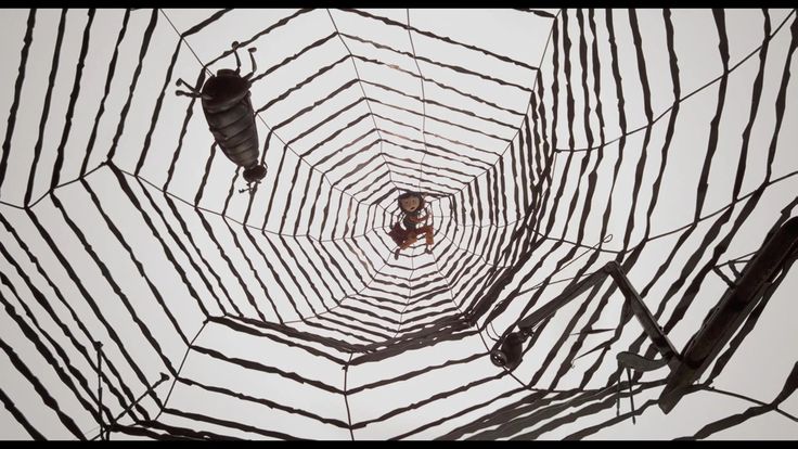 the inside of a spider web with two people in it