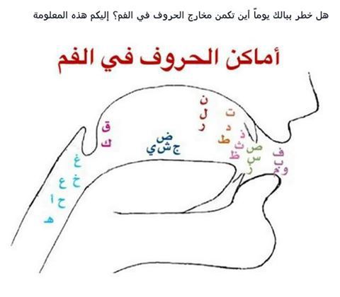 letters and sounds in the human ear