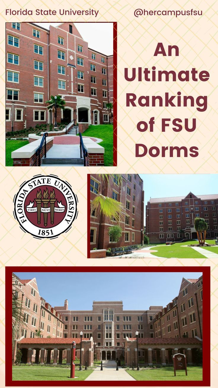 the front cover of an ultimate rank in fsu dorm's 2012 - 2013