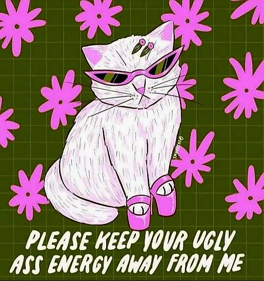 Ge Aldrig Upp, Gatos Cool, Mental Disorder, الرسومات اللطيفة, Pretty Words, White Cat, Cat Memes, Mood Pics, Cat Art