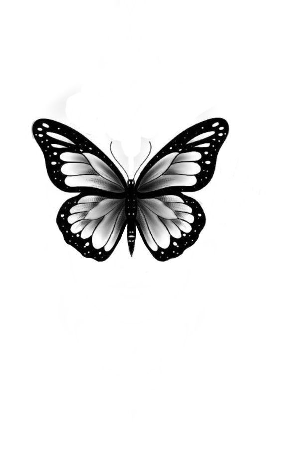 a black and white butterfly flying through the air