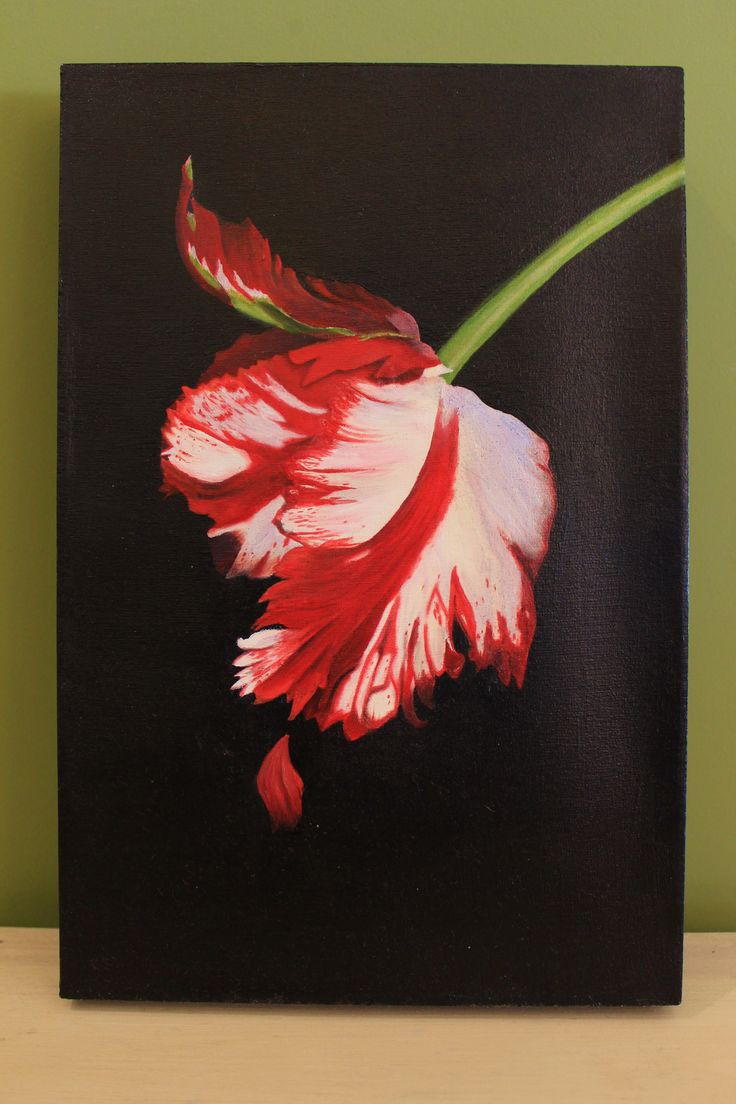 a painting of a red and white flower on a black background with green stems in the foreground