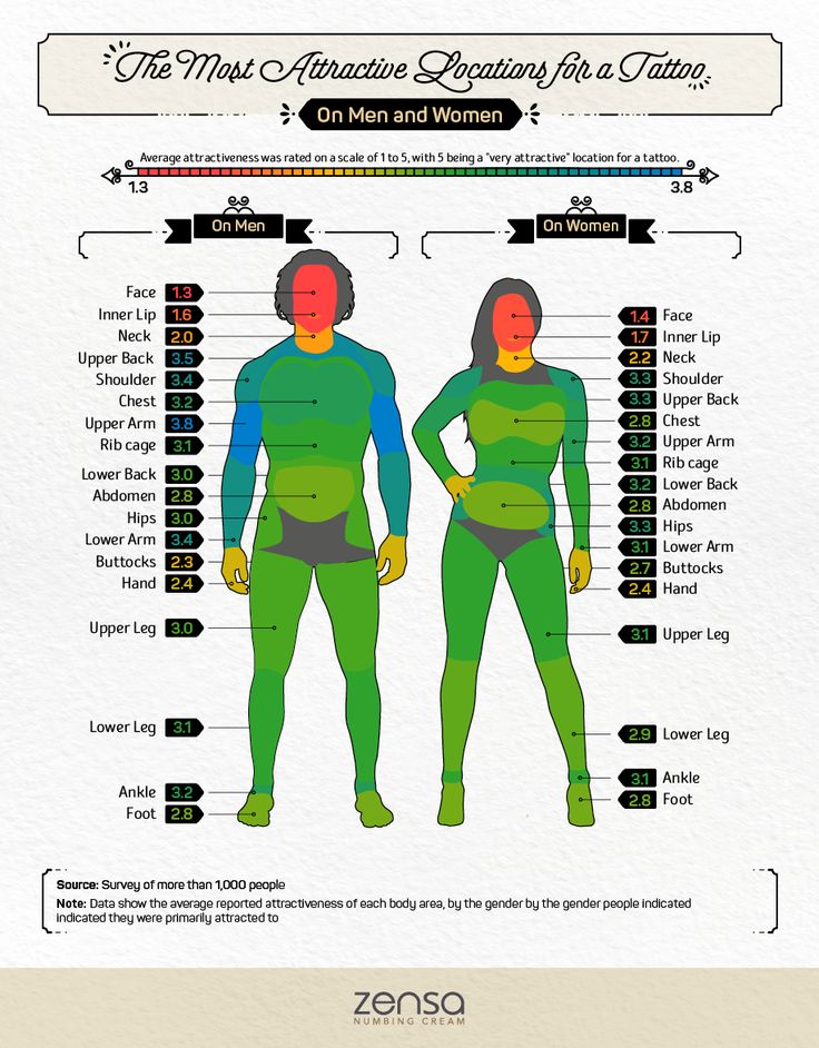 an info sheet shows the different types of men and women in their bodysuits