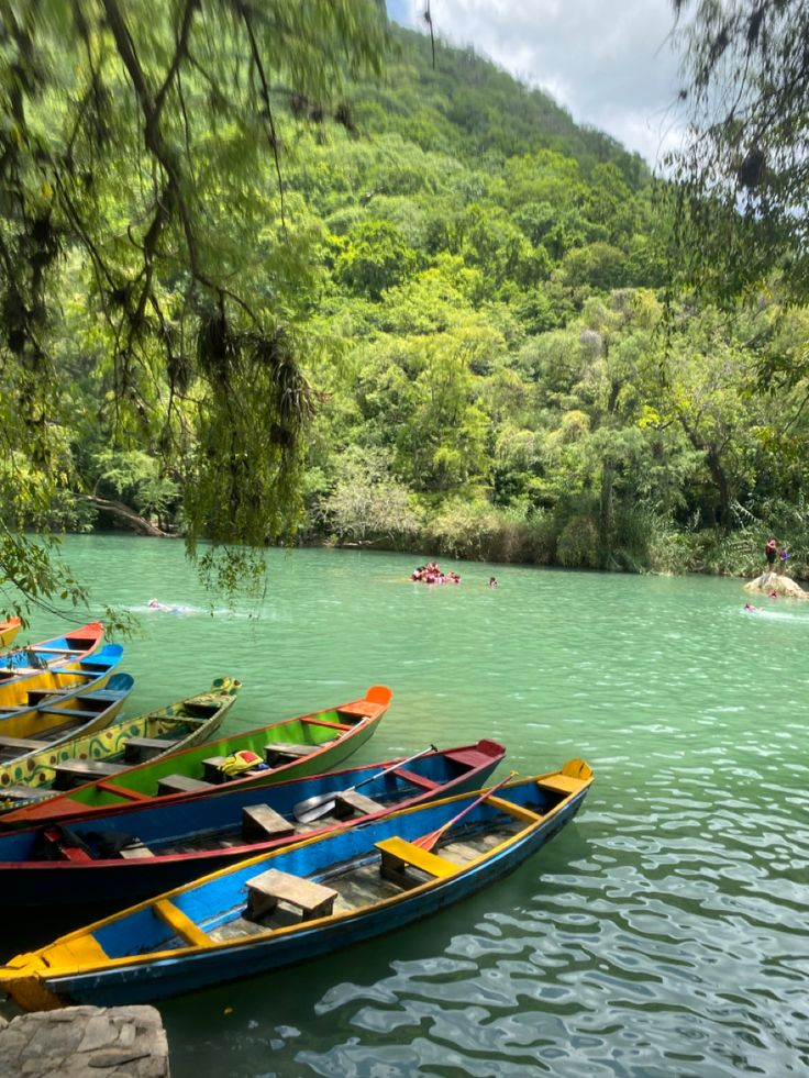 several canoes are docked on the water in front of some trees and people swimming