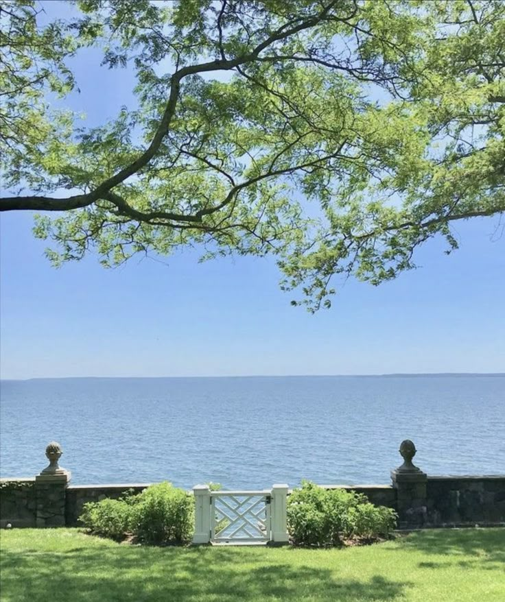 a bench sitting on top of a lush green field next to the ocean