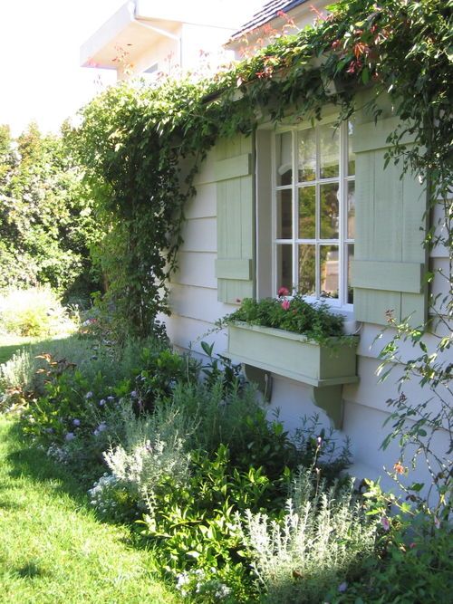 a house with green shutters and plants growing on the outside wall, along side it