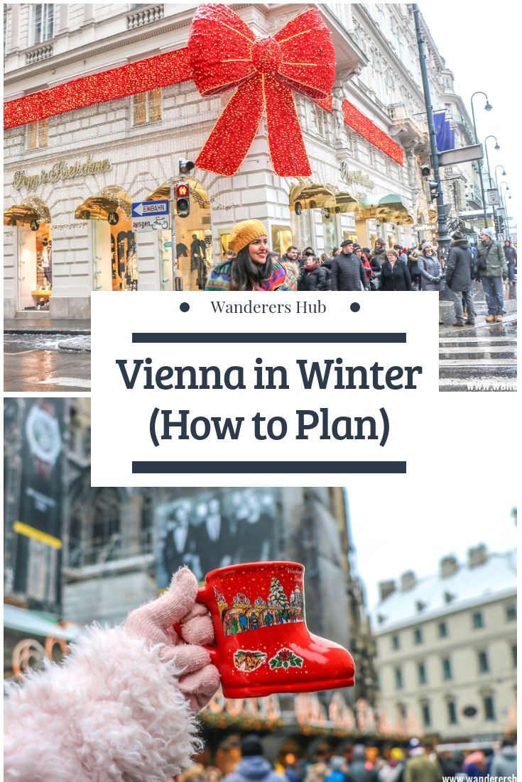 a person holding a red cup with the words vienna in winter how to plan