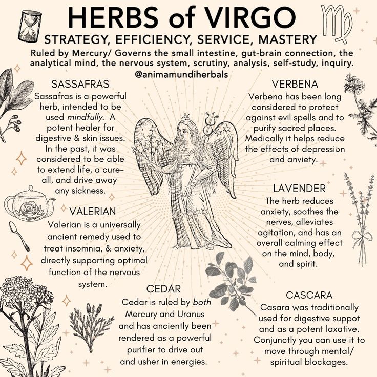 Healing the gut, intestines boosting strategy, efficiency and gut knowing 💞 Herbs For Virgo, Herbs Of Virgo, Virgo Herbs, Zodiac Herbs, Goddess Astraea, Virgo Witch, Virgo Energy, Magickal Herbs, Virgo Season