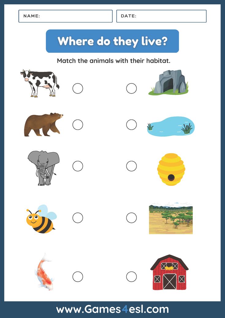 a worksheet with animals and their names