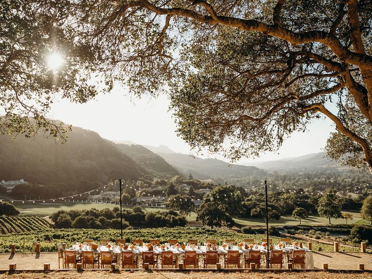 an outdoor dining table set up under a tree with mountains in the backgroud