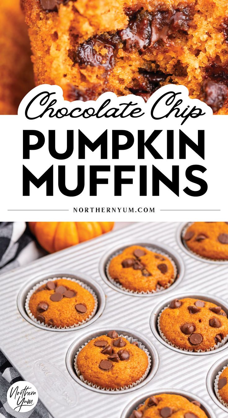 Moist and Delicious Chocolate Chip Pumpkin Muffins Best Thanksgiving Appetizers, Halloween Food Desserts, Pumpkin Chocolate Chip Muffins, Pumpkin Chocolate Chip, Pumpkin Chocolate Chips, Fall Dessert Recipes, Nutritious Breakfast, Fall Dessert, Chocolate Chip Muffins