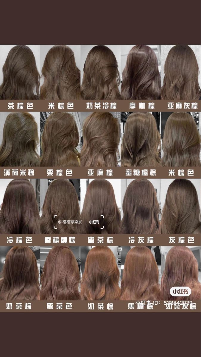 Hair Color Neutral Skin Tone, Brown Hair For Neutral Skin Tone, Neutral Tone Hair Color, Best Hair Color For Neutral Skin Tone, Hair Color For Neutral Skin Tone, Hair Color For Asian Skin, Hair Color At Home, Warm Hair Color, Model Hair Color