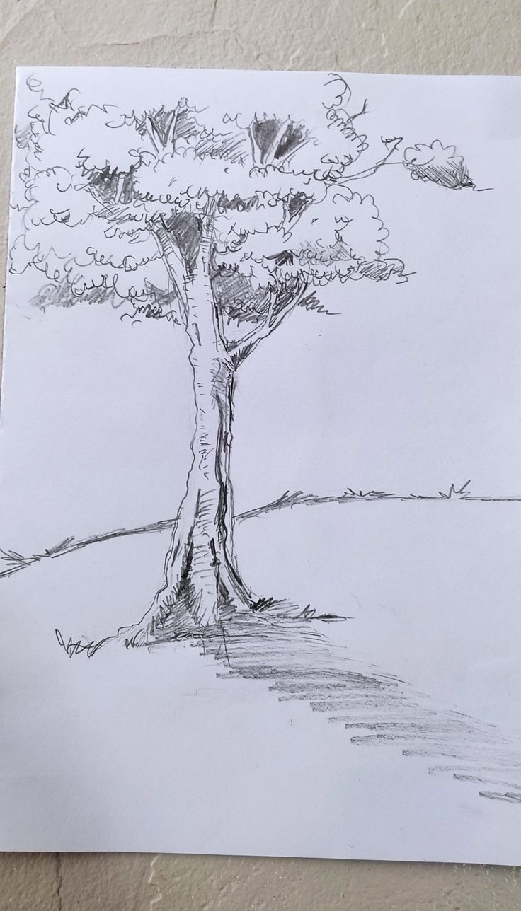 a pencil drawing of a tree on paper