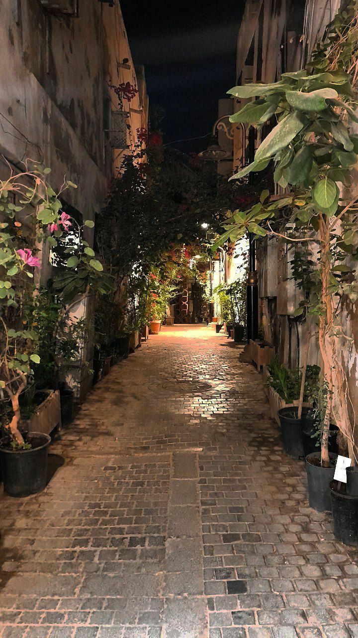 an alley way with potted plants on either side