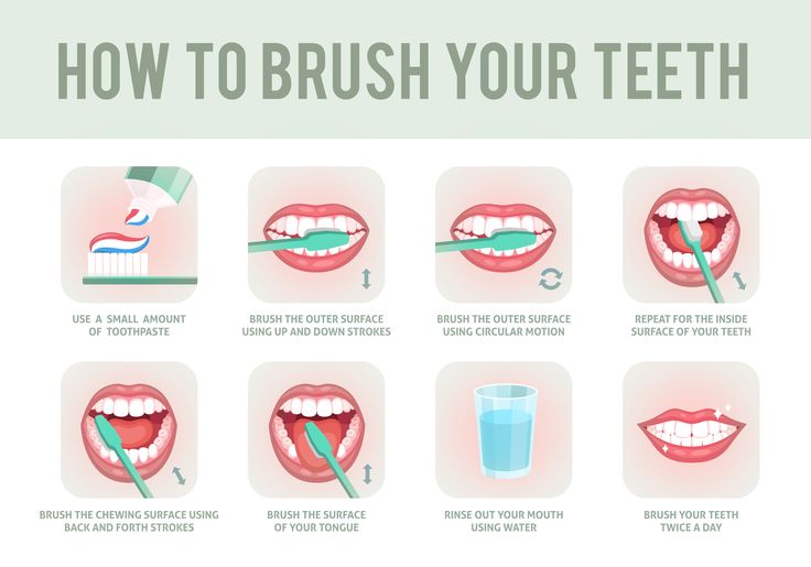 Teeth Diagram, Tooth Brushing Chart, Toothpaste Brands, Dental Clinic Design, Mouth Wash, Brushing Your Teeth, Strengthen Teeth, Brush Teeth, Brush Your Teeth