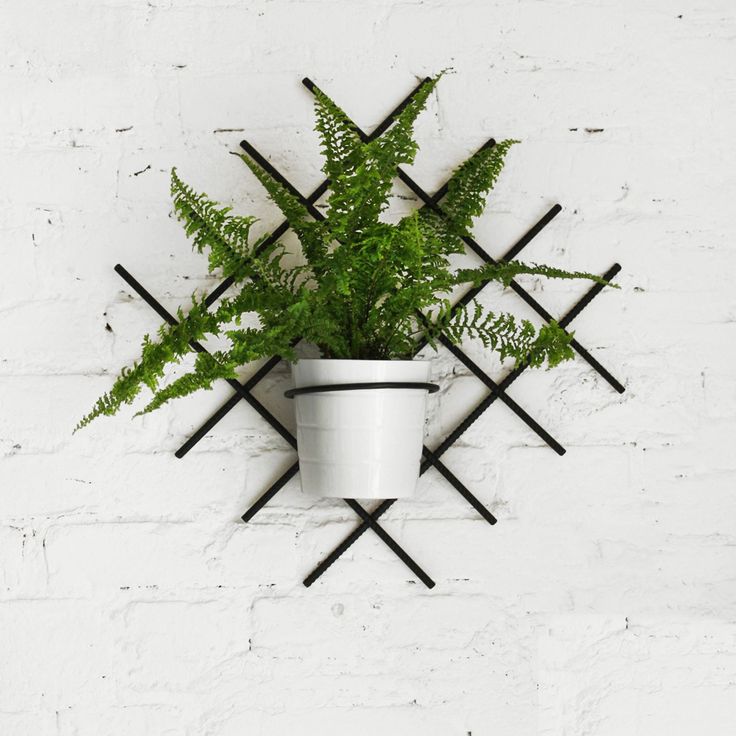 a potted plant sitting on top of a white brick wall