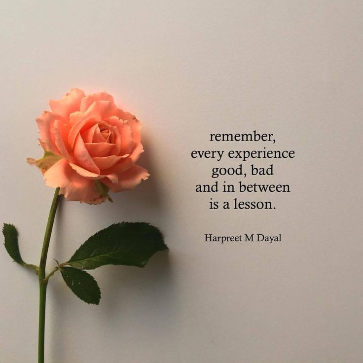 a single pink rose sitting on top of a white wall next to a quote from harper davidson