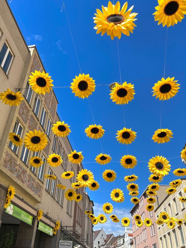 many sunflowers are hanging in the air above a street lined with buildings and shops