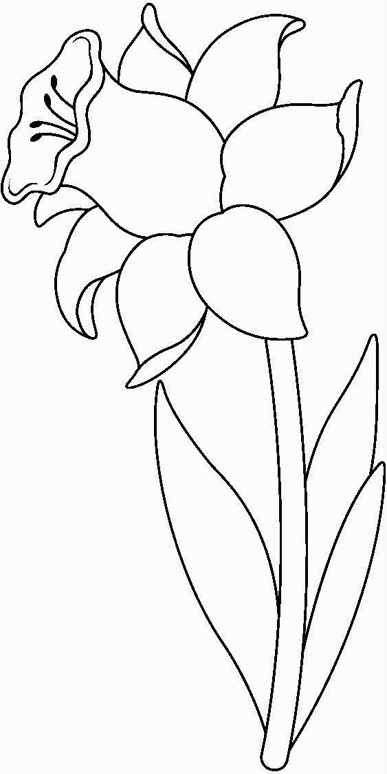 the outline of a flower is shown in black and white