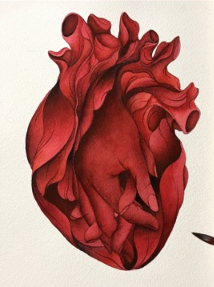 a drawing of a red heart on white paper