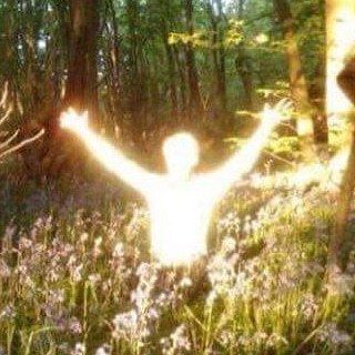 a person standing in the middle of a forest with their arms spread out and hands up