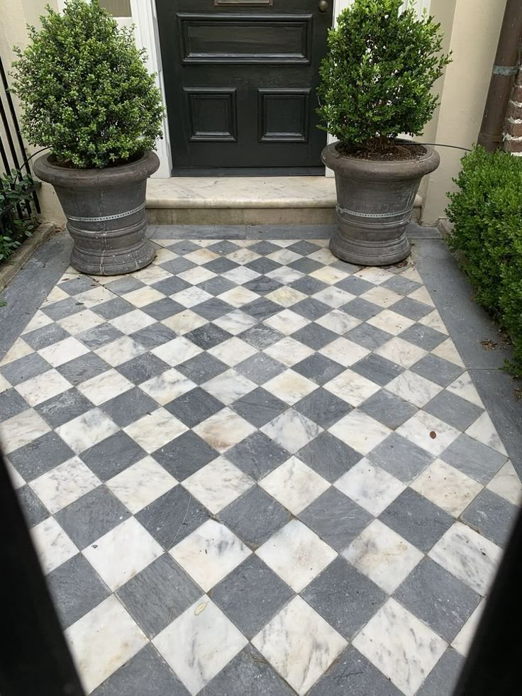 two potted plants sitting on top of a checkered tile floor in front of a black door